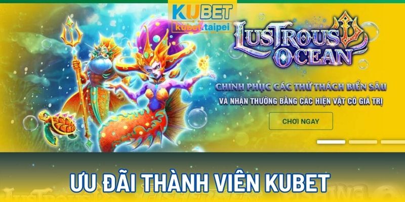 Hàng ngàn ưu đãi khủng cho thành viên Kubet