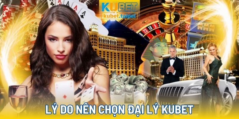 Tại sao nên chọn các đại lý Kubet?