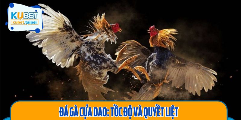 Các hình thức đá gà hấp dẫn đang có mặt tại 11BET