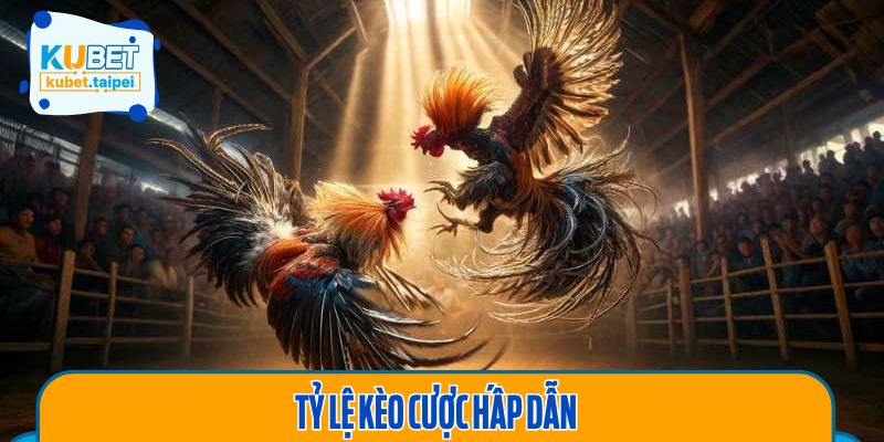 Đá gà 11BET có Tỷ Lệ Kèo Cược Hấp Dẫn